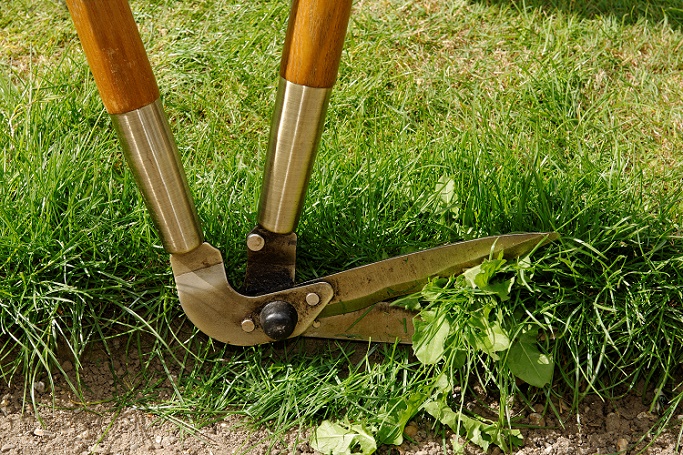 Cutting edges of lawn