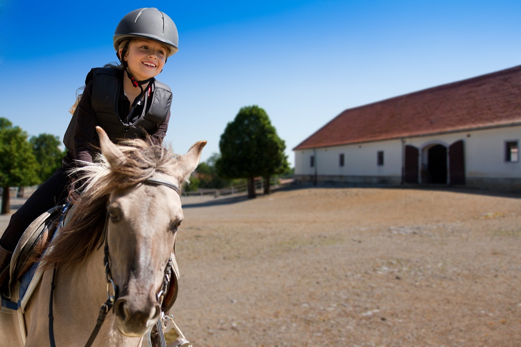 Happy child riding a horse in outdoor arena