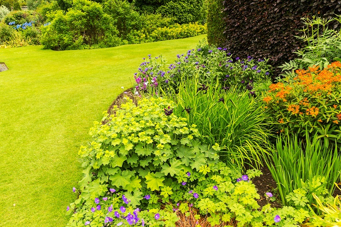 Garden border with plant beds and hedges